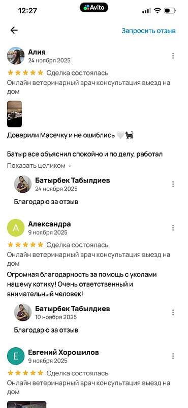 ветеринарная клиника на дом: Салам алейкум. Меня зовут Батыр, я ветеринар. Несколько лет я работал — 10