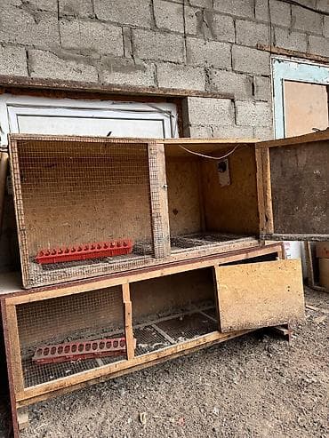 ыссык куле: Продам две клетки для птиц цена 7000 сом — 4