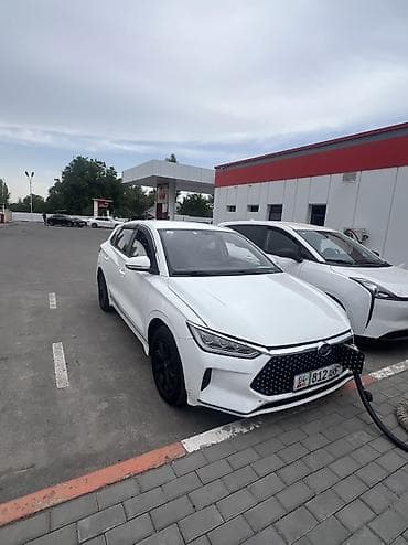 BYD E2: 2019 г., Электромобиль, Кроссовер
