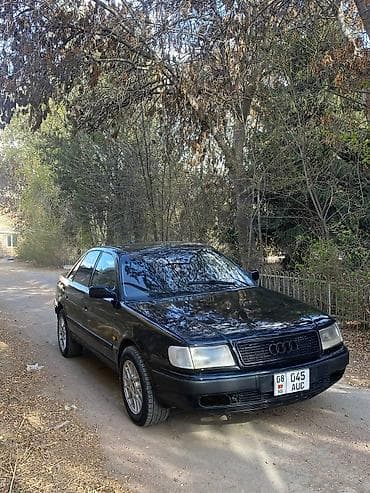 Audi 100: 1992 г., 2 л, Седан