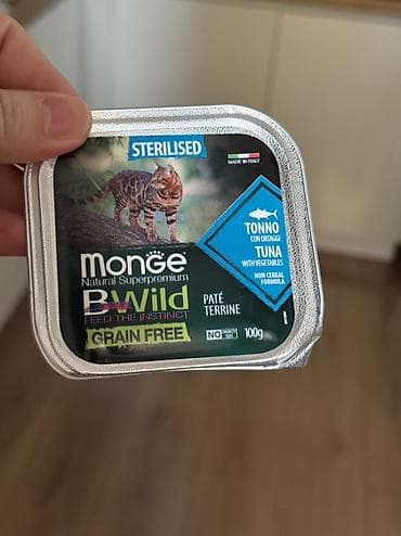 ящик сатылат: Продается котик 1 год Привитый, Проглистованный, Кастрированный — 7