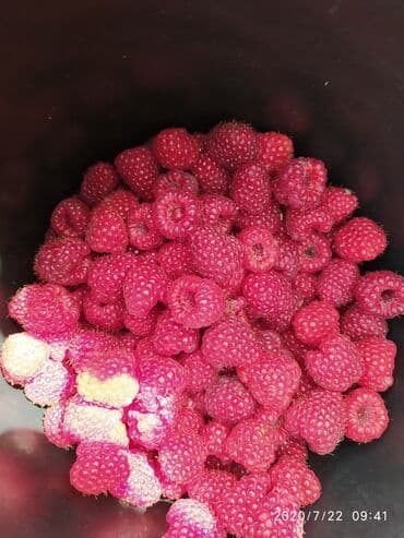 печь для отопления дома бишкек: Малинанын кочоттору сатылат!!! Сорт: Полька(ремонтантная). Кочоттор — 4