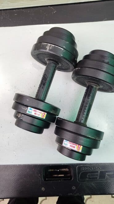 настольные теннисные ракетки: Гантели железные разборные Вес одной гантели 12кг Общий вес 24кг — 1