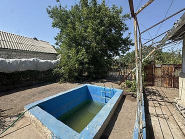 Продам дачу, собственник Сад плодородный Яблони, груши, королевский — 6