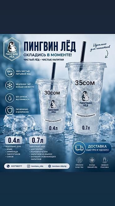 пингвин: 🏪 ДҮКӨН ЭЭЛЕРИ ҮЧҮН ЖАКШЫ СУНУШ! 🧊🐧 «ПИНГВИН ЛЁД» — таза, тоголок — 1