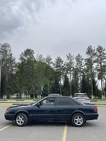 гетз 2: Audi 100: 1992 г., 2.3 л, Механика, Дизель, Седан — 6