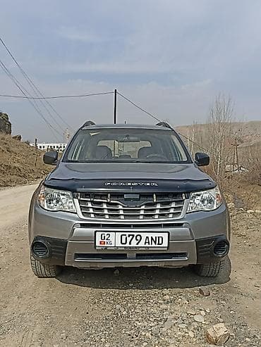 sm x: Subaru Forester: 2010 г., 2.5 л, Автомат, Бензин, Кроссовер — 2
