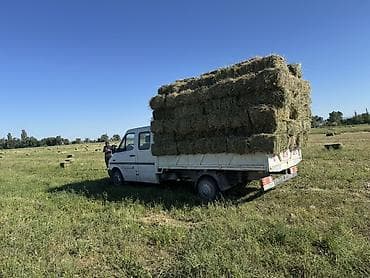 howo 2025: Легкий грузовик, Mercedes-Benz, Дубль, 3 т, Б/у — 2