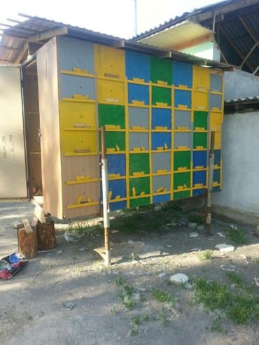 английский кокер спаниель щенок цена: Павильон для пчелы.БЕЗ ПЧЕЛЫ и БЕЗ РАМКИ.Обмен на MАШИНУ/ АВТО / — 4