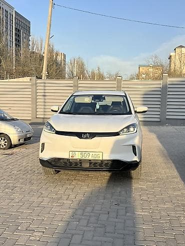 12 00 r20: Weltmeister EX5, 2020 г., 92000 км, В наличии — 2