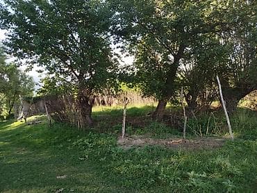 продам дом киргизия 1: 30 соток, Для бизнеса, Красная книга — 6