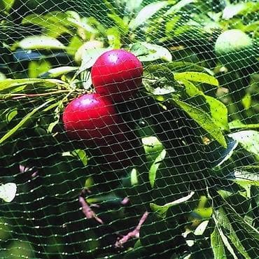 сетка для картошка: Защитные сетки от птиц — 2