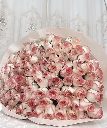 Букет из роз кремово-розового оттенка (сорт с розовой окантовкой at lalafo.kg Букет из роз кремово-розового оттенка (сорт с розовой окантовкой