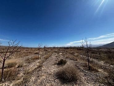 участок антановка: 100 соток, Для сельского хозяйства — 4