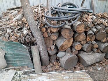 продается дрова: Дрова — 2