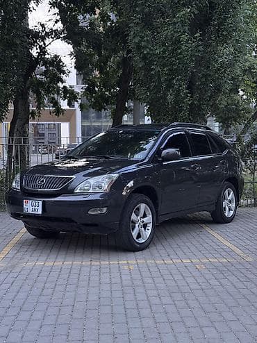 Lexus RX: 2004 г., 3.3 л, Автомат, Газ, Кроссовер
