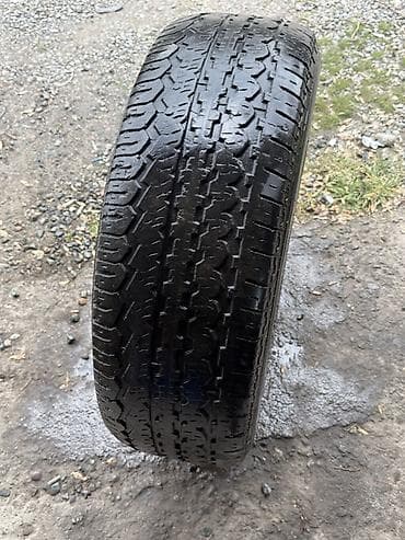 маркант 65: Шины 265 / 65 / R 17, Всесезонная, Внедорожные (АТ/МТ), BFGoodrich — 2