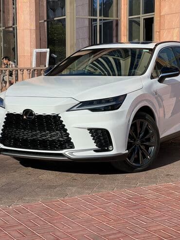 rx 2016: Lexus RX: 2023 г., 2.4 л, Автомат, Бензин, Внедорожник — 6