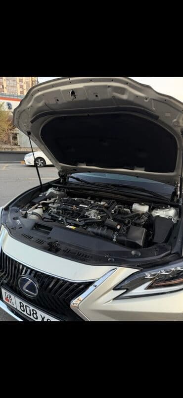 очень нужны: Lexus ES: 2019 г., 2.5 л, Автомат, Гибрид, Седан — 5