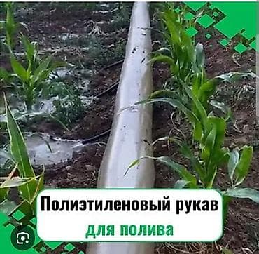 Шланг для полива