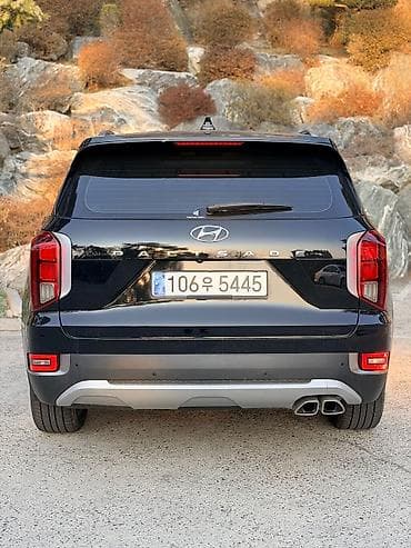tsunami 100: Hyundai Palisade: 2019 г., 2.2 л, Автомат, Дизель, Кроссовер — 8