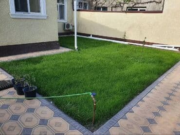 ишу работу охрана: Поссев газон✓ Посадка цветов ✓ Посадка декоративных растений ✓ — 9