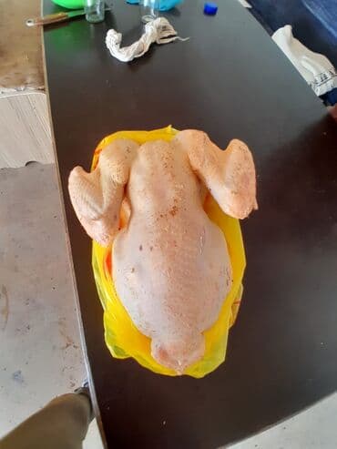 индюк самец: Продаю | Индюк (самец) | Бройлерная | Для разведения | Племенные — 8