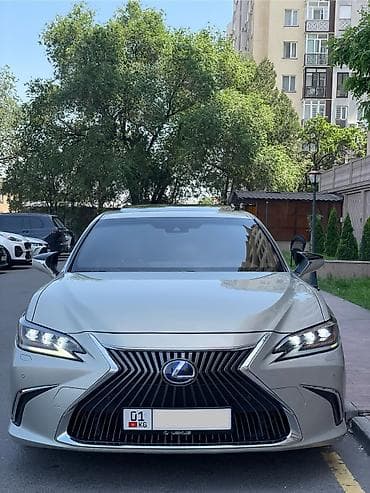 хамер авто: Lexus ES: 2019 г., 2.5 л, Автомат, Гибрид, Седан — 5