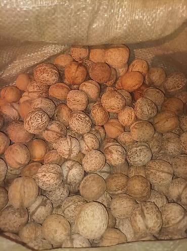 Грецкий орех в скорлупе - Натуральные орехи в мешках, неочищенные -