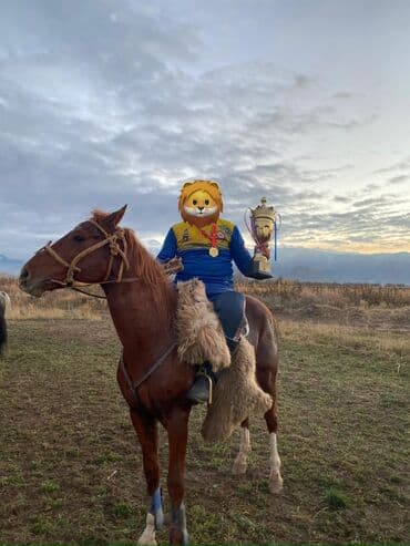 охотничий собака дратхар: Продаю | Жеребец | Полукровка | Рабочий — 1