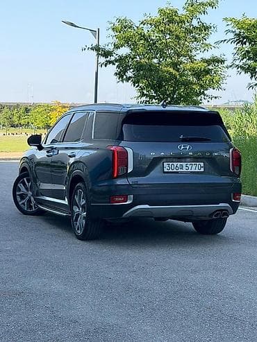 2019: Hyundai Palisade: 2019 г., 2.2 л, Автомат, Дизель, Кроссовер — 4