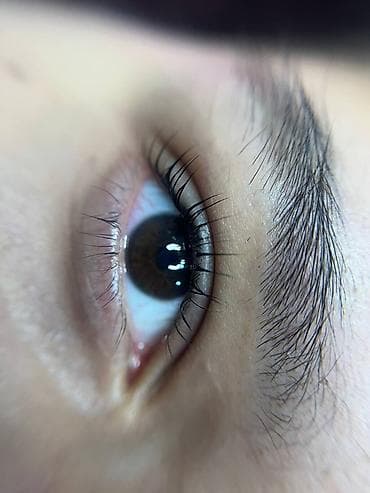a 72: ✨ Ламинирование ресниц ✨ Ресницы, которые выглядят красиво даже без — 5