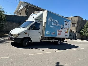 зимний красовка: Рефрижераторный фургон Mercedes-Benz Sprinter - Изотермический — 9