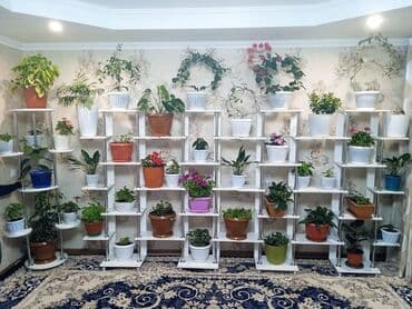 стеллажи для цветов с подсветкой: Полка для цветов, Новый, ЛДСП, Самовывоз, Бесплатная доставка, Платная доставка — 7