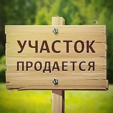 80 соток