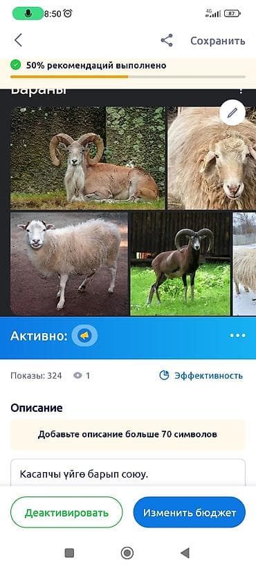 Касапчы үйгө барып союу. Мясник на выез at lalafo.kg Касапчы үйгө барып союу. Мясник на выез