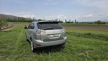 Lexus: Lexus RX: 2004 г., 3.3 л, Автомат, Бензин, Кроссовер — 6