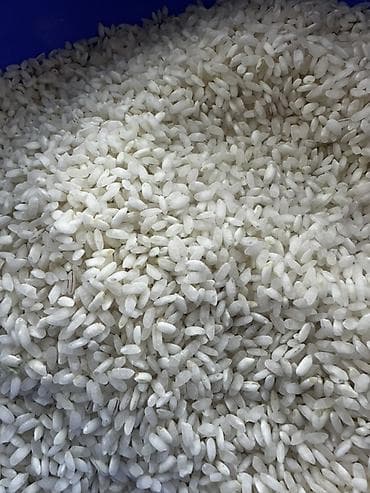 Рис круглозёрный шлифованный - Тип: белый круглозёрный рис, зерно — 2