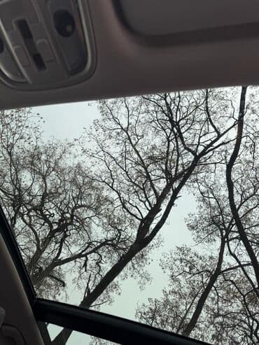 дождевик для мопеда: Kia Sportage: 2016 г., 2.4 л, Бензиновая, Кроссовер — 6