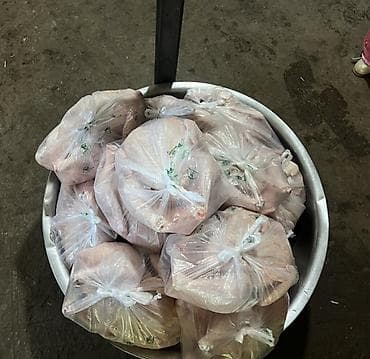 забыл: Домашние бройлерные куры (Халяль) - Собственное выращивание. - Цена — 2