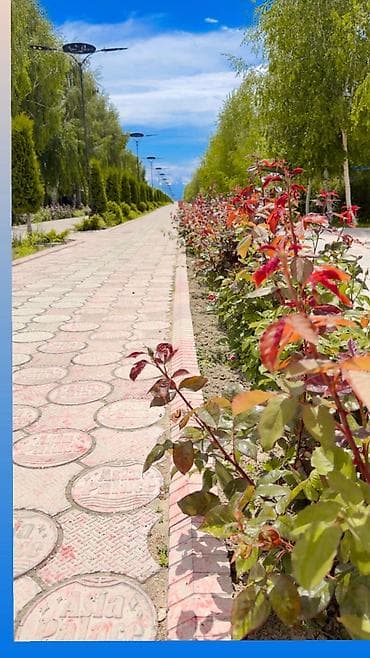продам гараж на металлолом: ASIA PALACE САРЫ-ОЙ Мангал, Очокжандуу от Охрана 24/7 - — 3