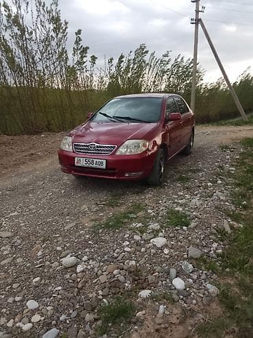 mini kuper: Toyota Corolla: 2005 г., Ручные, Бензин, Седан — 1