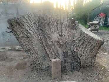 купить шкаф для папок в офис: Орешина 
Отдадим за приемлемую цену — 1