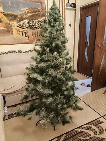 Proton: Үй жана бакча үчүн декор, Өзү алып кетүү — 2