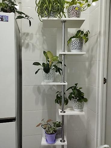 Тележки-органайзеры на колесах: Полка, этажерка для цветов, ЛДСП — 1