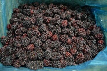 куплю малину оптом: Замороженные фрукты, ягоды, Шоковая, Оптом — 2