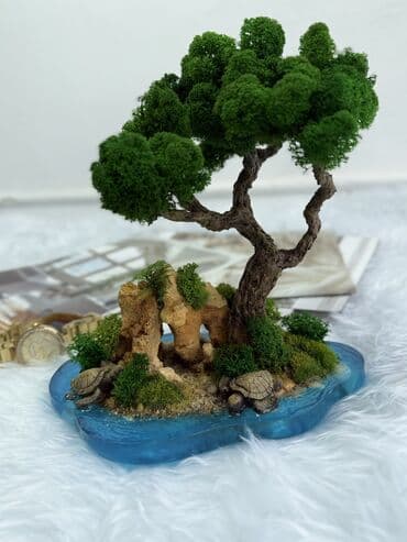 бонсай купить: Интерьерные композиции с деревом бонсай из натурального живого — 1