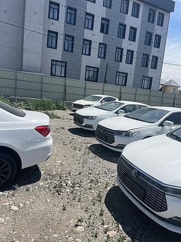 купить авто для такси: BYD Qin: 2023 г., Робот, Седан — 1