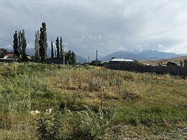 11 соток, Курулуш, Кызыл китеп — 2