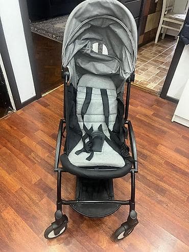 велоколяска токмок: Прогулочная коляска с площадкой/сиденьем для второго ребёнка - Лёгкая — 1